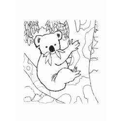 Disegno da colorare: Koala (Animali) #9337 - Pagine da Colorare Stampabili Gratuite
