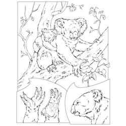 Disegno da colorare: Koala (Animali) #9339 - Pagine da Colorare Stampabili Gratuite