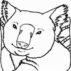 Disegno da colorare: Koala (Animali) #9340 - Pagine da Colorare Stampabili Gratuite