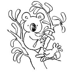 Disegno da colorare: Koala (Animali) #9341 - Pagine da Colorare Stampabili Gratuite