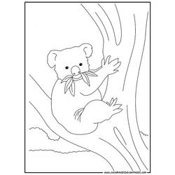 Disegno da colorare: Koala (Animali) #9342 - Pagine da Colorare Stampabili Gratuite