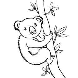 Disegno da colorare: Koala (Animali) #9398 - Pagine da Colorare Stampabili Gratuite