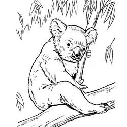 Disegno da colorare: Koala (Animali) #9405 - Pagine da Colorare Stampabili Gratuite