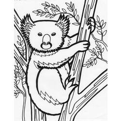 Disegno da colorare: Koala (Animali) #9426 - Pagine da Colorare Stampabili Gratuite