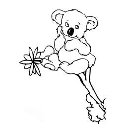 Disegno da colorare: Koala (Animali) #9431 - Pagine da Colorare Stampabili Gratuite
