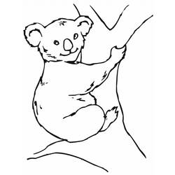 Disegno da colorare: Koala (Animali) #9462 - Pagine da Colorare Stampabili Gratuite