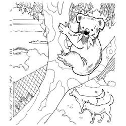 Disegno da colorare: Koala (Animali) #9470 - Pagine da Colorare Stampabili Gratuite