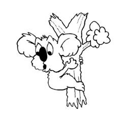 Disegno da colorare: Koala (Animali) #9485 - Pagine da Colorare Stampabili Gratuite