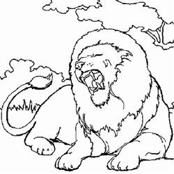 Disegno da colorare: Leone (Animali) #10251 - Pagine da Colorare Stampabili Gratuite