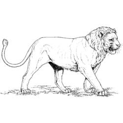 Disegno da colorare: Leone (Animali) #10256 - Pagine da Colorare Stampabili Gratuite