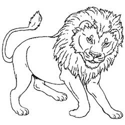 Disegno da colorare: Leone (Animali) #10270 - Pagine da Colorare Stampabili Gratuite