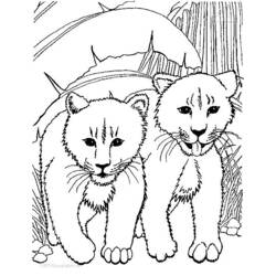 Disegno da colorare: Leone (Animali) #10296 - Pagine da Colorare Stampabili Gratuite