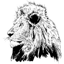 Disegno da colorare: Leone (Animali) #10316 - Pagine da Colorare Stampabili Gratuite