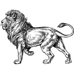 Disegno da colorare: Leone (Animali) #10318 - Pagine da Colorare Stampabili Gratuite