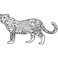 Disegno da colorare: Leopardo (Animali) #9705 - Pagine da Colorare Stampabili Gratuite