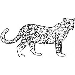 Disegno da colorare: Leopardo (Animali) #9710 - Pagine da Colorare Stampabili Gratuite