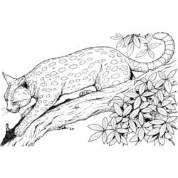 Disegno da colorare: Leopardo (Animali) #9717 - Pagine da Colorare Stampabili Gratuite