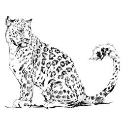 Disegno da colorare: Leopardo (Animali) #9720 - Pagine da Colorare Stampabili Gratuite