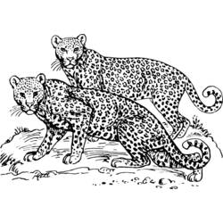 Disegno da colorare: Leopardo (Animali) #9724 - Pagine da Colorare Stampabili Gratuite