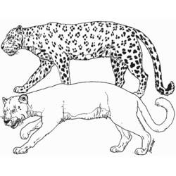 Disegno da colorare: Leopardo (Animali) #9729 - Pagine da Colorare Stampabili Gratuite