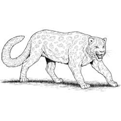 Disegno da colorare: Leopardo (Animali) #9730 - Pagine da Colorare Stampabili Gratuite