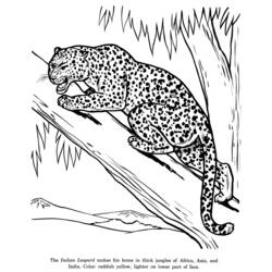 Disegno da colorare: Leopardo (Animali) #9748 - Pagine da Colorare Stampabili Gratuite