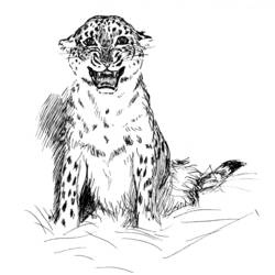 Disegno da colorare: Leopardo (Animali) #9761 - Pagine da Colorare Stampabili Gratuite