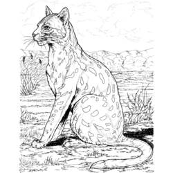 Disegno da colorare: Leopardo (Animali) #9771 - Pagine da Colorare Stampabili Gratuite