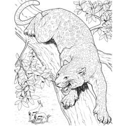 Disegno da colorare: Leopardo (Animali) #9775 - Pagine da Colorare Stampabili Gratuite