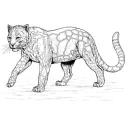 Disegno da colorare: Leopardo (Animali) #9780 - Pagine da Colorare Stampabili Gratuite