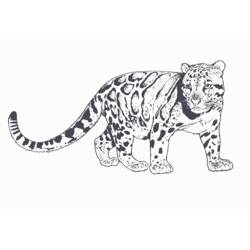 Disegno da colorare: Leopardo (Animali) #9787 - Pagine da Colorare Stampabili Gratuite