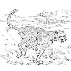 Disegno da colorare: Leopardo (Animali) #9798 - Pagine da Colorare Stampabili Gratuite