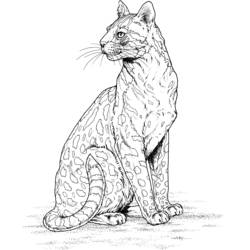 Disegno da colorare: Leopardo (Animali) #9806 - Pagine da Colorare Stampabili Gratuite