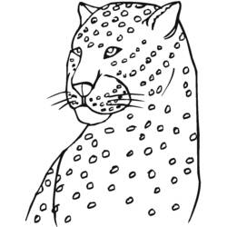 Disegno da colorare: Leopardo (Animali) #9814 - Pagine da Colorare Stampabili Gratuite