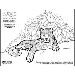 Disegno da colorare: Leopardo (Animali) #9834 - Pagine da Colorare Stampabili Gratuite