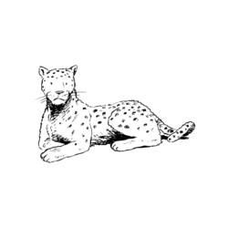 Disegno da colorare: Leopardo (Animali) #9835 - Pagine da Colorare Stampabili Gratuite