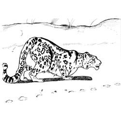 Disegno da colorare: Leopardo (Animali) #9836 - Pagine da Colorare Stampabili Gratuite