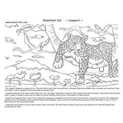 Disegno da colorare: Leopardo (Animali) #9858 - Pagine da Colorare Stampabili Gratuite