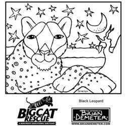 Disegno da colorare: Leopardo (Animali) #9864 - Pagine da Colorare Stampabili Gratuite