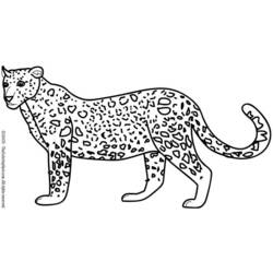 Disegno da colorare: Leopardo (Animali) #9869 - Pagine da Colorare Stampabili Gratuite