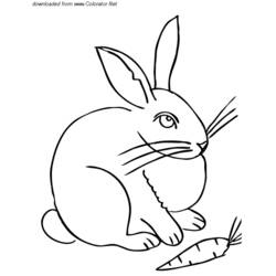 Disegno da colorare: lepre (Animali) #10124 - Pagine da Colorare Stampabili Gratuite
