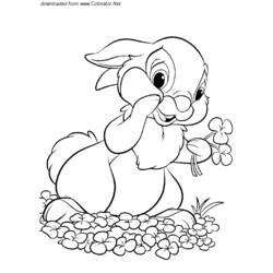 Disegno da colorare: lepre (Animali) #10126 - Pagine da Colorare Stampabili Gratuite