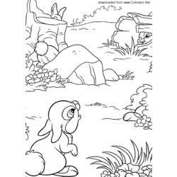 Disegno da colorare: lepre (Animali) #10133 - Pagine da Colorare Stampabili Gratuite