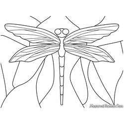 Disegno da colorare: Libellula (Animali) #9944 - Pagine da Colorare Stampabili Gratuite