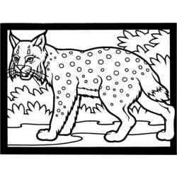 Disegno da colorare: Lince (Animali) #10810 - Pagine da Colorare Stampabili Gratuite