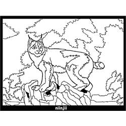 Disegno da colorare: Lince (Animali) #10814 - Pagine da Colorare Stampabili Gratuite
