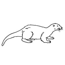 Disegno da colorare: Lontra (Animali) #10643 - Pagine da Colorare Stampabili Gratuite