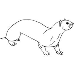 Disegno da colorare: Lontra (Animali) #10663 - Pagine da Colorare Stampabili Gratuite