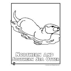 Disegno da colorare: Lontra (Animali) #10674 - Pagine da Colorare Stampabili Gratuite
