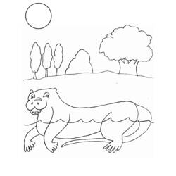 Disegno da colorare: Lontra (Animali) #10718 - Pagine da Colorare Stampabili Gratuite